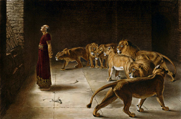 Daniellions Daniellions