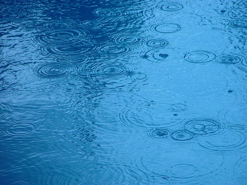 Rain droplets Rain droplets