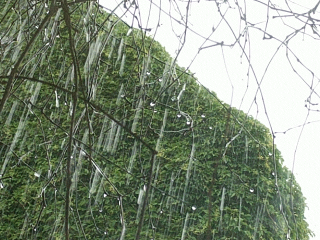 Rain_2 Rain_2