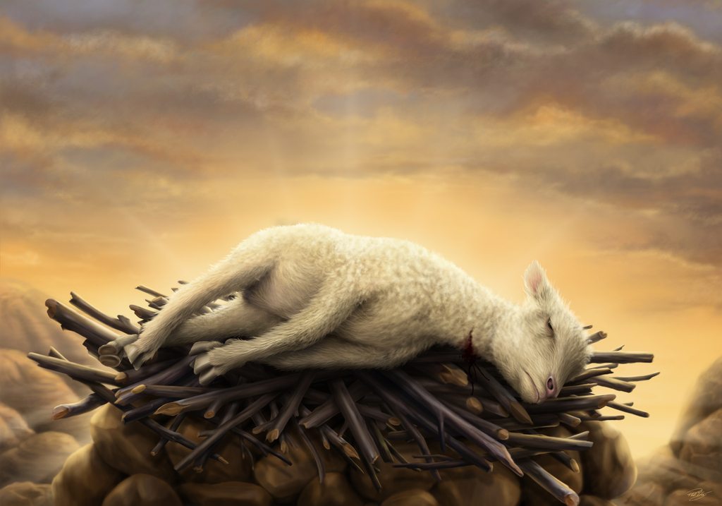 lamb