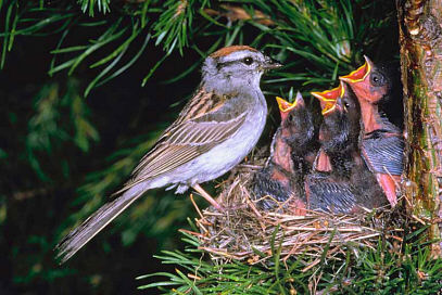 Sábado, el día del Señor